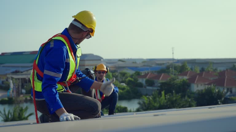 Best Skylight Installation and Repair  in Zionsville, IN