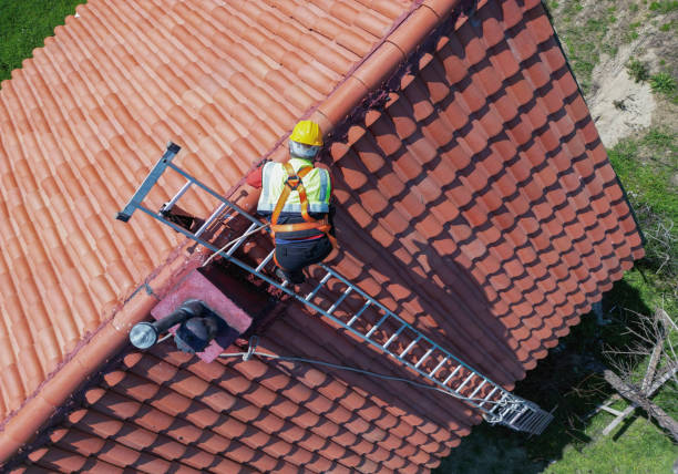 Best Cold Roofs  in Zionsville, IN