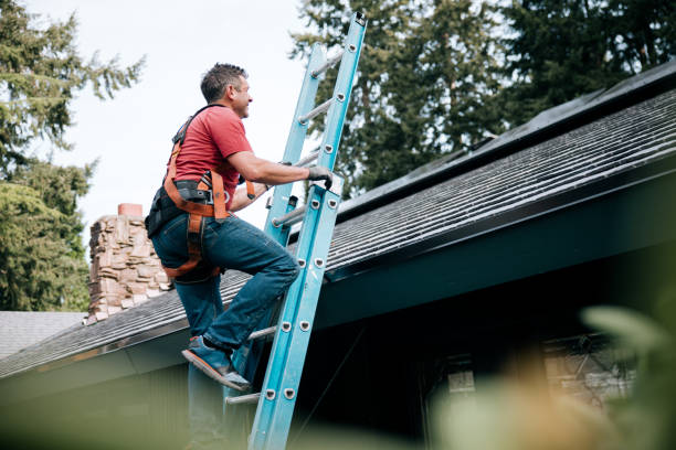 Best Wood Shake Roofing  in Zionsville, IN