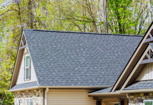 Best 4 Ply Roofing  in Zionsville, IN